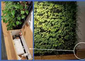 Case Study: Implementation of the Sanishower Pump for Green Walls at a Local Office